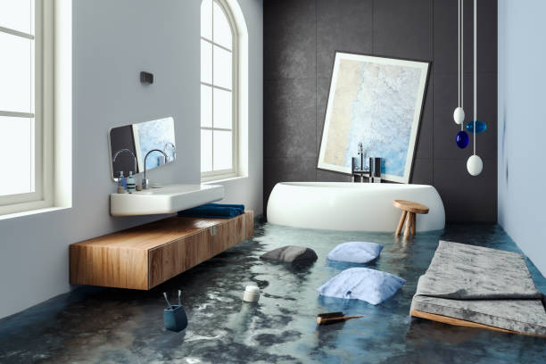 Best Professional water damage repair  in Agency Village, SD