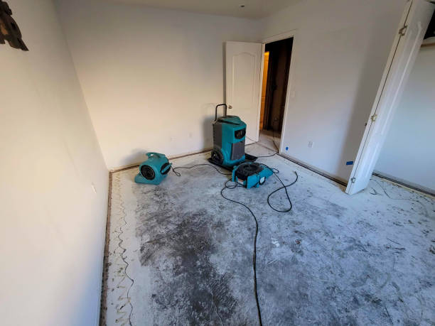 Best Carpet water damage restoration  in Agency Village, SD