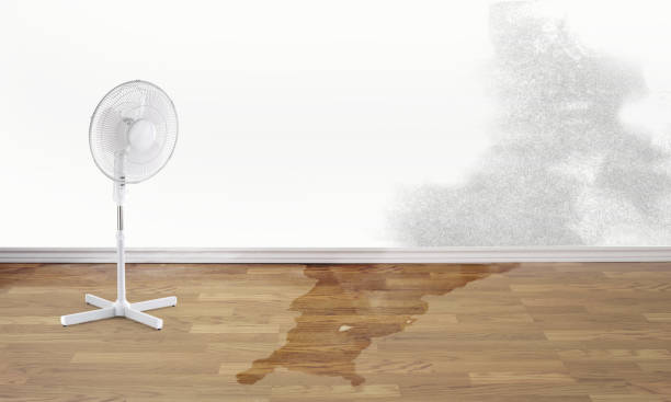 Best Sewage cleanup and water damage restoration  in Agency Village, SD