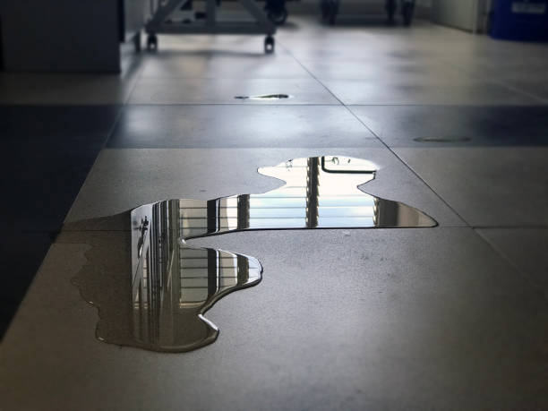 Best Water damage restoration insurance claims  in Agency Village, SD