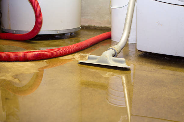 Best Fire Damage Restoration  in Agency Village, SD