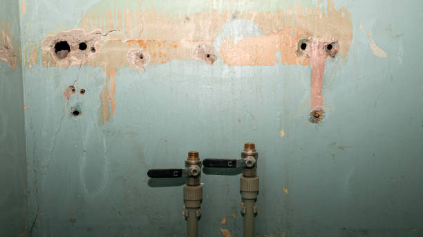Professional Water damage restoration in SD