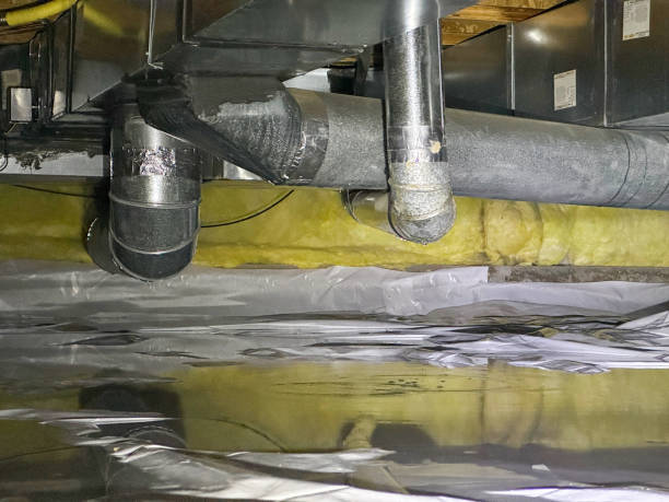 Best Water damage contractors near me  in Agency Village, SD