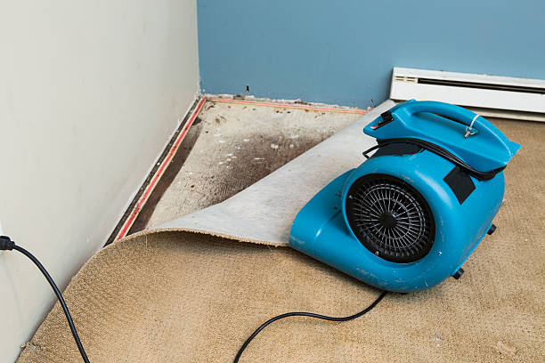 Best Water damage cleanup near me  in Agency Village, SD